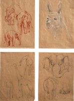 Работа-6